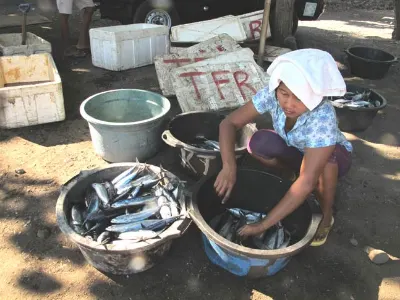 Fresh Fish — Bali, Indonesia