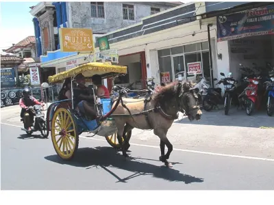 Bikes, Horses, Cars — Bali, Indonesia