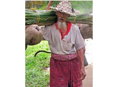 Manual Labor — Bali, Indonesia