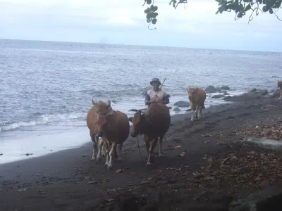Round Up — Bali, Indonesia