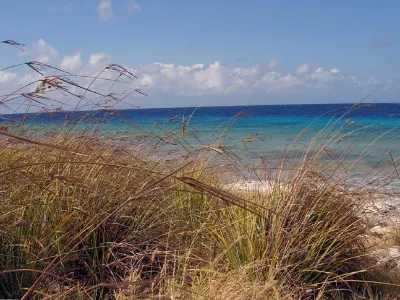 Shades of Blue — Bonaire