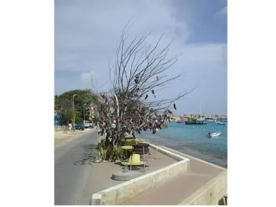 Flip Flop Tree — Bonaire