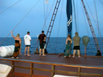 Whale Watching — Raja Ampat, Indonesia