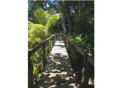 Bridges — Cayos Cochinos, Honduras