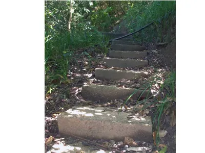 Stone Paths — Cayos Cochinos, Honduras