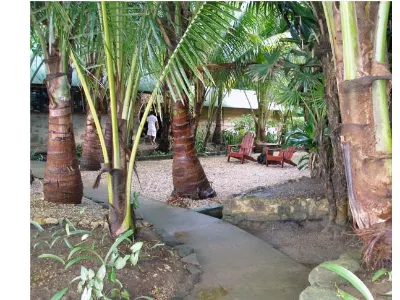Gathering Spaces — Cayos Cochinos, Honduras