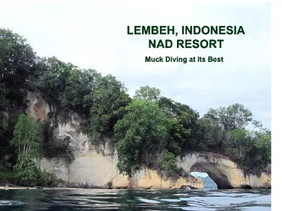 Lembeh, Indonesia - NAD Resort — Lembeh, Indonesia – NAD Resort