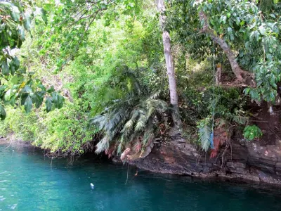 Gorgeous Dive Site — Lembeh, Indonesia – NAD Resort