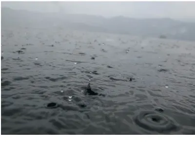 Raindrops Keep Fallin' — Lembeh, Indonesia – NAD Resort