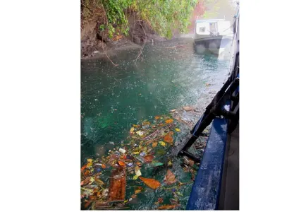 Rain Brings Land Run-Off — Lembeh, Indonesia – NAD Resort