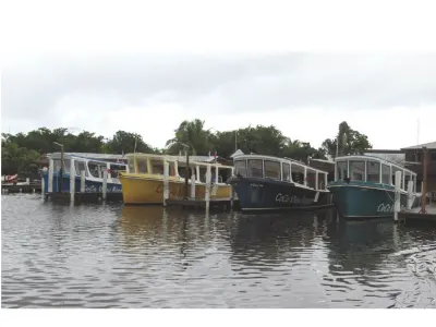 The Dive Fleet — Roatan Island, Honduras – CoCo View Resort