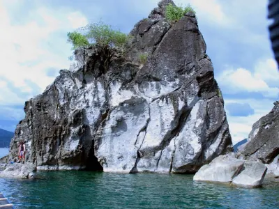 Tenacious Trees — Anilao, Philippines