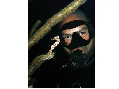 Marco Finds Seahorse
