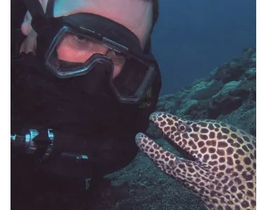 Kent and Spotted Moray