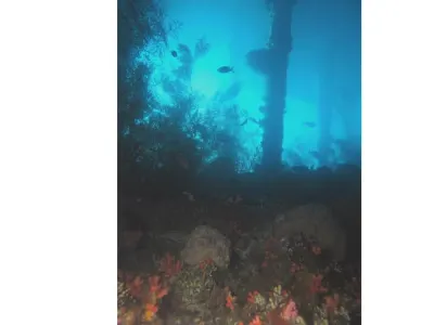 Below the Pier