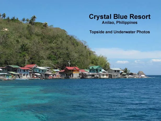 Anilao, Philippines — Crystal Blue Resort — April 2013