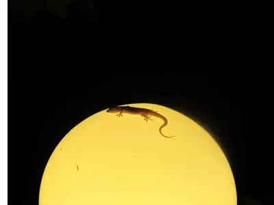 Moon glow