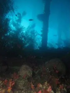 The USS Liberty wreck