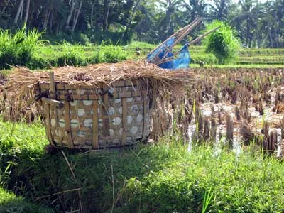 Gathering baskets