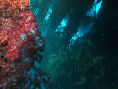 Liberty Wreck Scene