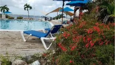 The pool deck