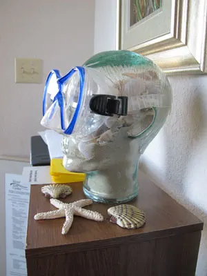 Display at the exhibit